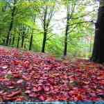 img-4136.jpg