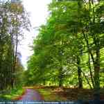 img-4138.jpg