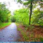 img-4139.jpg