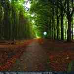 img-4141.jpg