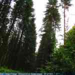 img-4145.jpg