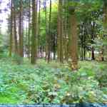 img-4146.jpg