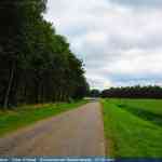 img-4154.jpg