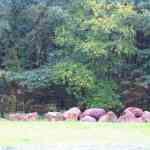 img-4158.jpg