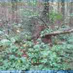 img-4617.jpg