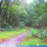 img-4627.jpg