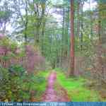 img-4638.jpg