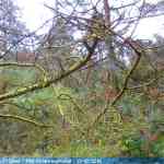 img-4652.jpg