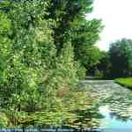 img-0480.jpg