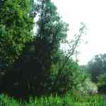 img-0481.jpg