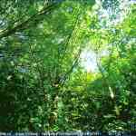 img-0482.jpg