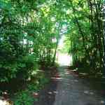 img-0483.jpg