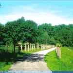 img-0488.jpg