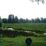 img-0489.jpg