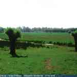 img-0490.jpg