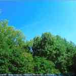 img-0491.jpg