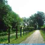 img-0493.jpg