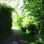img-0498.jpg