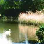 img-0499.jpg
