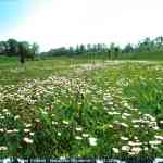 img-0500.jpg