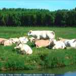 img-0501.jpg