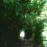 img-0502.jpg
