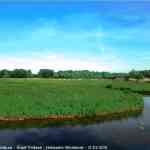 img-0506.jpg