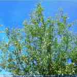 img-0512.jpg
