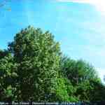 img-0513.jpg