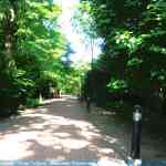 img-0514.jpg