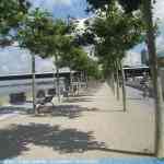img-0875.jpg