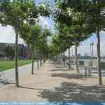 img-0876.jpg