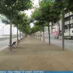 img-0888.jpg