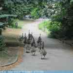 img-0898.jpg