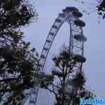 london-div-locaties-09-12-2023-105.jpg