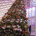 london-div-locaties-09-12-2023-125.jpg