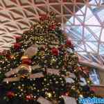 london-div-locaties-09-12-2023-126.jpg