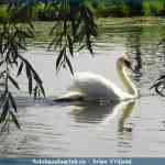 img-1587.jpg