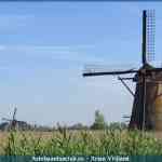 img-1594.jpg