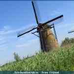img-1598.jpg