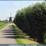 img-1600.jpg