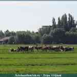 img-1602.jpg