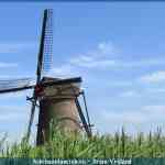 img-1603.jpg