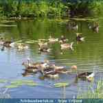 img-1611.jpg