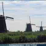 img-1617.jpg