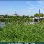 img-1624.jpg