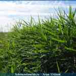 img-1635.jpg