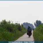 img-1636.jpg