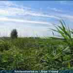 img-1640.jpg
