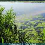 img-1645.jpg